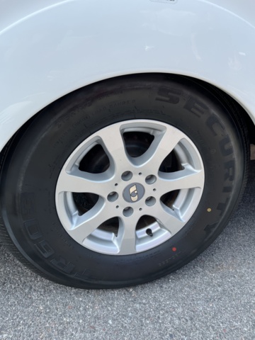 1013114-41 ADRIA Alpina 663 UK Nursery - 2013