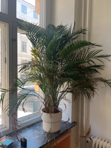 1023704-5 Conference furniture