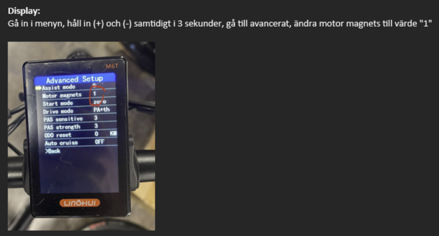 1047406-2 EcoGlider E-Bike RS5 Hero 25KM/H in box (silver)