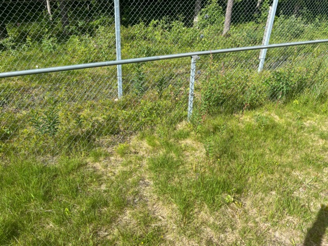 1043042-3 Gunnebo fence 650 meters long & 1m high