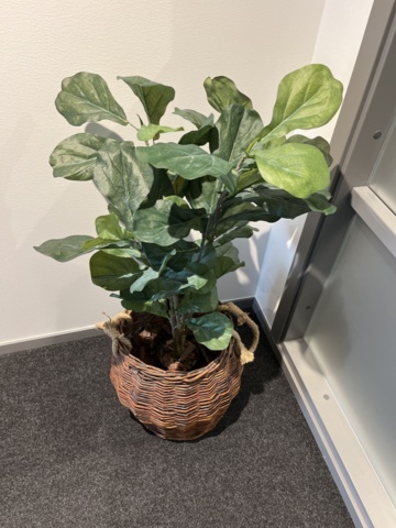 1013172-8 Conference room with Philips 55" TV, table & 16 chairs