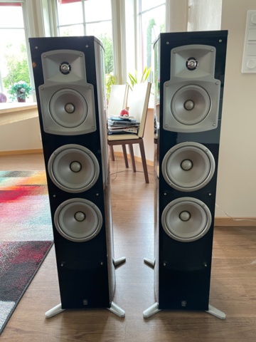 1054935-5 Yamaha NS-555 Floor Speaker