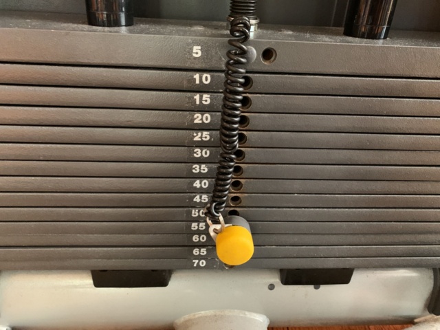 993052-6 Gym machine TechnoGym Abductor