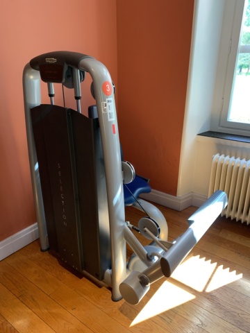 993054-2 Gym machine TechnoGym Rotary Calf