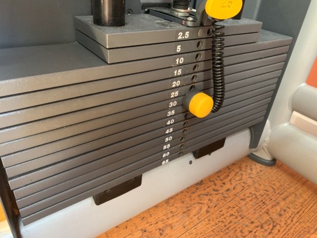 993054-4 Gym machine TechnoGym Rotary Calf