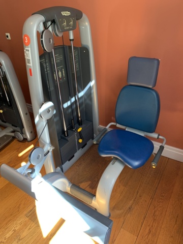 993054-5 Gym machine TechnoGym Rotary Calf