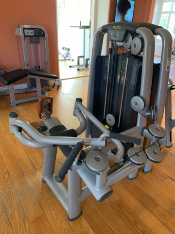 993058-1 Gym machine TechnoGym Upper Back