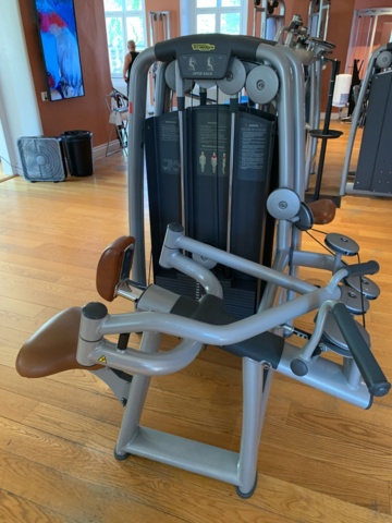993058-2 Gym machine TechnoGym Upper Back