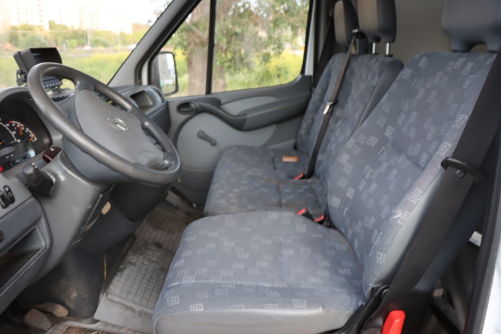 1056714-32 Mercedes-Benz Sprinter 316 CDI -03 Horse transport