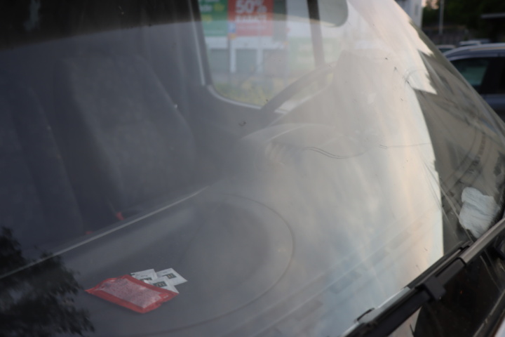 1056714-54 Mercedes-Benz Sprinter 316 CDI -03 Horse transport