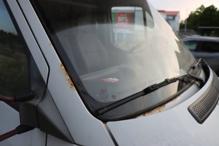 1056714-55 Mercedes-Benz Sprinter 316 CDI -03 Horse transport