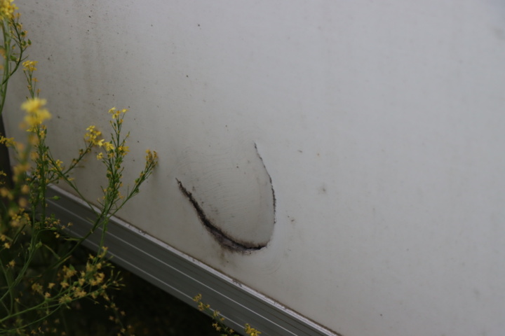 1056714-56 Mercedes-Benz Sprinter 316 CDI -03 Horse transport