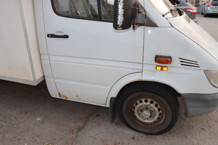 1056714-57 Mercedes-Benz Sprinter 316 CDI -03 Horse transport