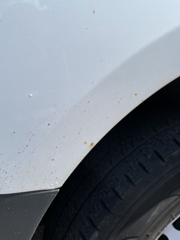 1059846-29 Ford Transit Custom 270 2.2 TDCi - 2016