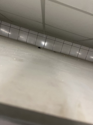 1038907-6 Porka Cold room for disassembly