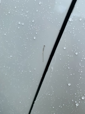 1062369-60 Dacia Dokker Express 1.5 dCi Manual, 90hp, 2017