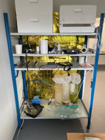 1024289-3 Desk, growing trough and accessories