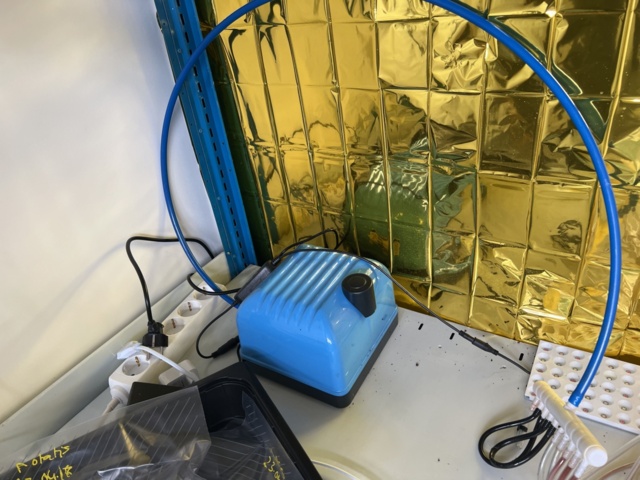 1024289-5 Desk, growing trough and accessories