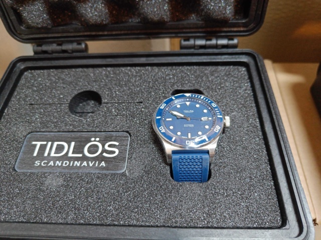 1064558-11 Lot of TIMELESS watches and watch boxes