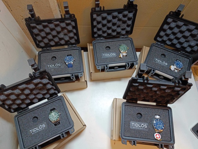 1064558-6 Lot of TIMELESS watches and watch boxes