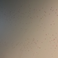 1060650-4 Projector screen