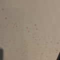 1060650-5 Projector screen
