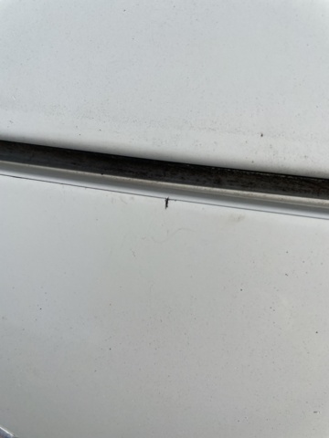 998711-27 Citroën Berlingo Van 1.6 HDi - 2010