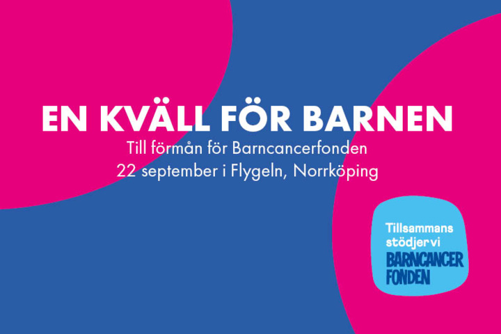 1076780-2 5 hours cleaning service by Östgöta Städ AB, for the office, home, window cleaning, etc.