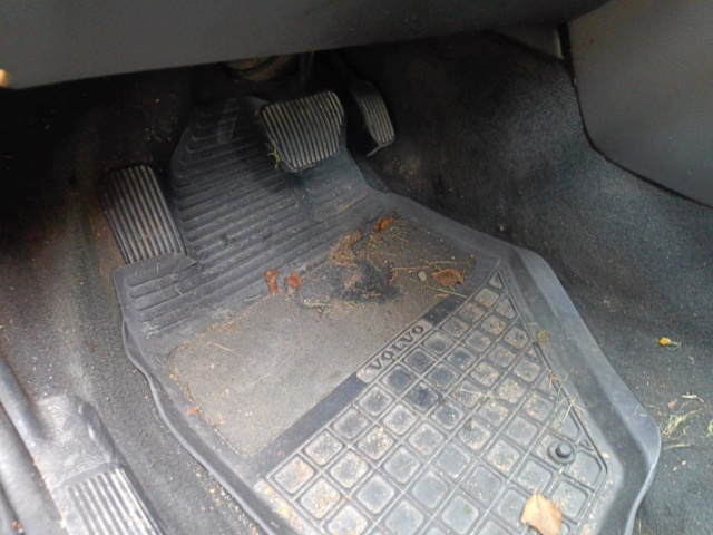 929332-67 Volvo V70 XC 2.4 T AWD - 1999