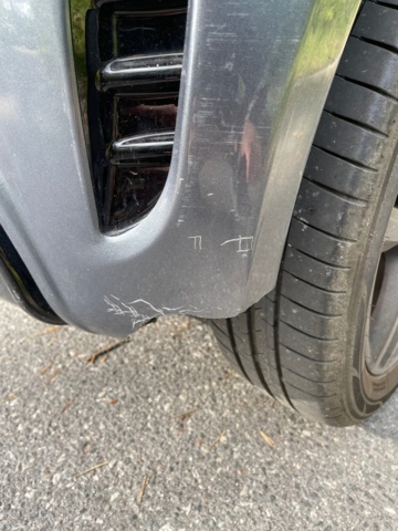 1079791-34 Ligier JS50L 0.5 DCI CVT - 2019