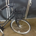 919661-2 Women's bicycle Skeppshult Nova