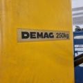 1081589-3 Column slewing crane Demag 250 kg