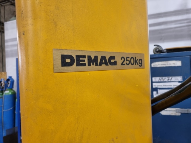 1081589-3 Column slewing crane Demag 250 kg