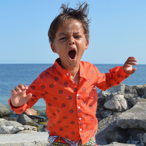 1082574-3 Clothing package from Trex and muffin 6 years - Shipping included