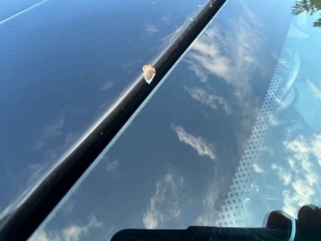 1081706-14 Renault Grand Scenic 1.5 dCi - 2013