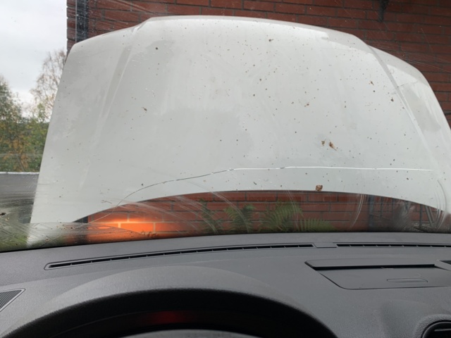 993152-27 Volkswagen Caddy Life 1.9 TDI - 2008