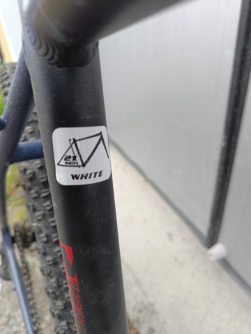 929351-25 Men's bike White Trainer