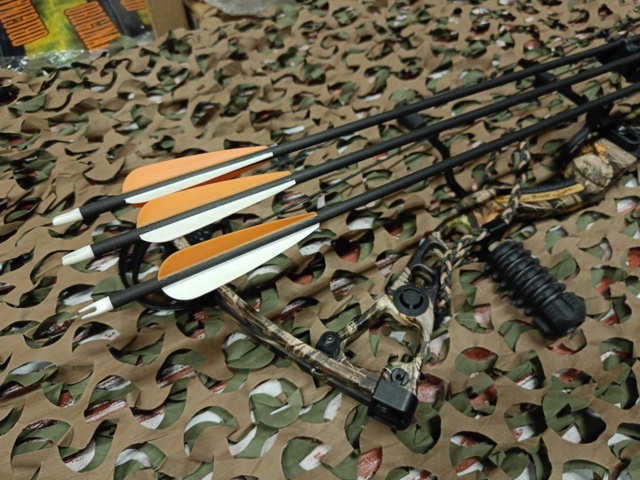 999965-2 Compound bow POE Lang beast