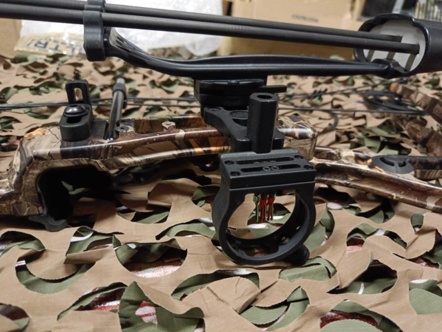 999965-5 Compound bow POE Lang beast