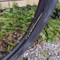 999991-11 Mountain bike Merida BIG.NINE 20
