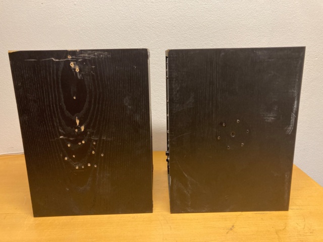 1104082-10 Genelec Biamp 1031A kaiuttimet ja 1092A subwoofer