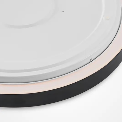 1105431-4 Ceiling lamp 22W