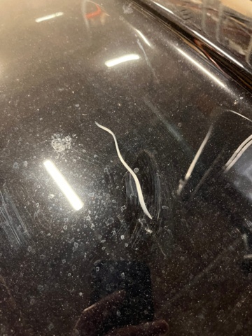 1105568-8 Roof box Thule Touring 700