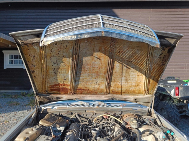 999457-61 Mercedes-Benz 450 SEL -1975 Repair item