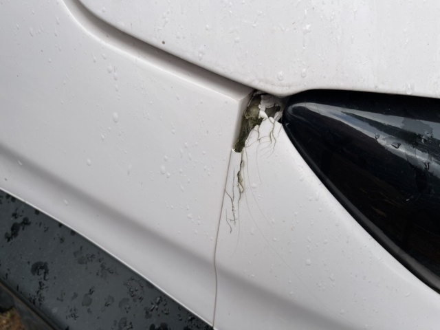 1105611-35 Electric vehicle Inzile Pro4 - 2020