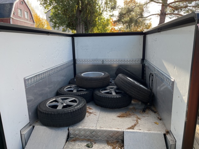 1105611-37 Electric vehicle Inzile Pro4 - 2020