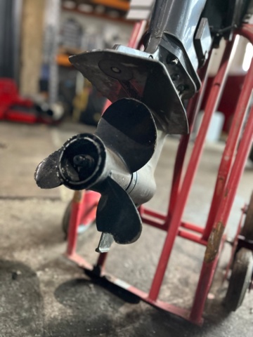 1107750-7 Outboard Suzuki 15hp