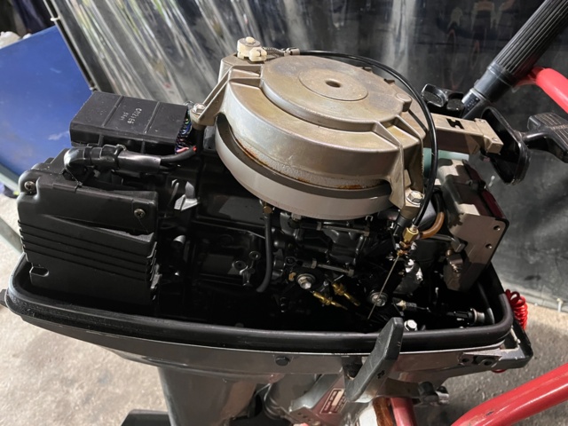 1107750-10 Outboard Suzuki 15hp