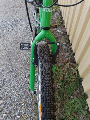 999491-6 Bicycle BKT Green