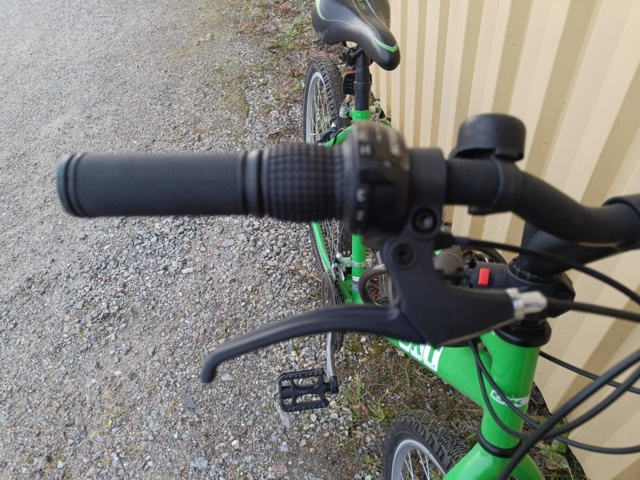 999491-8 Bicycle BKT Green